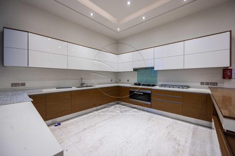 Vila na Saadiyat Island, Abu Dhabi, SAE 7 ložnice, 1300 m² Č.: 615393 - fotografie 10
