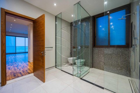 Vila na Saadiyat Island, Abu Dhabi, SAE 7 ložnice, 1300 m² Č.: 615393 - fotografie 22