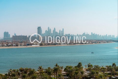 Apartment in Palm Jumeirah, Dubai, UAE 2 bedrooms, 255 sq.m. № 638920 - photo 1