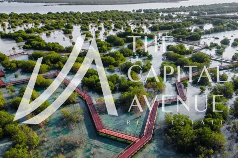 Land te koop in Al Hudayriat Island, Abu Dhabi, VAE 704 vr.m., nr 681246 - foto 3