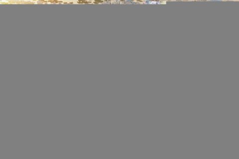 Kaupunkipientalo Ras Al Khaimah, Arabiemiraatit 2 makuuhuonetta, 259 m2 № 735160 - kuva 8