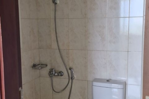آپارتمان برای فروش در  Khuzam، Ras Al Khaimah، امارات متحده عربی  3 خوابه ، 108 متر مربع ، شماره 734946 - تصویر 11