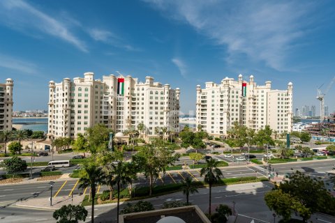 آپارتمان برای فروش در  Palm Jumeirah، Dubai، امارات متحده عربی  2 خوابه ، 147 متر مربع ، شماره 706541 - تصویر 27