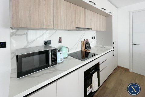 阿联酋 Dubai Downtown Dubai (Downtown Burj Dubai) 待租 : 1 卧, 95 平方米 , 编号628347 - 照片 9