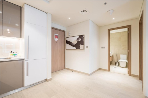 Dubai, BAE’de satılık daire 1 yatak odası, 60 m² No 696100 - fotoğraf 12