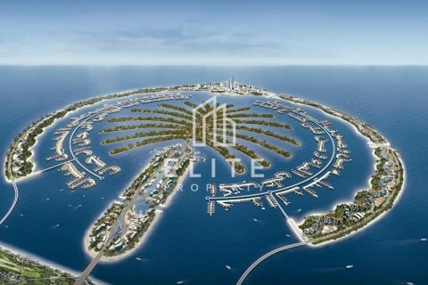 Land in Palm Jebel Ali, Dubai, UAE № 623524 - photo 9