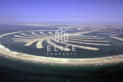 Land in Palm Jebel Ali, Dubai, UAE № 623524 - photo 8