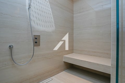 阿联酋 Dubai Downtown Dubai (Downtown Burj Dubai) 待租 : 4 卧, 480.9 平方米 , 编号632037 - 照片 34