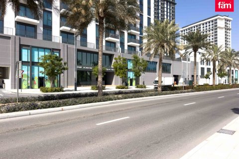 阿联酋 Dubai Dubai Hills Estate 待租 : 1 卧, 61.2 平方米 , 编号689250 - 照片 17