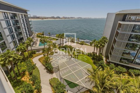 Bluewaters, Dubai, संयुक्त अरब अमीरात में अपार्टमेंट, 1 बेडरूम, 106.47 वर्ग मीटर, संख्या 768163 - फ़ोटो 12
