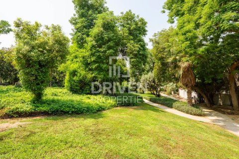 Tontti Al Barari, Dubai, Arabiemiraatit 742 m2 № 653955 - kuva 5