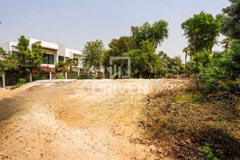 Tontti Al Barari, Dubai, Arabiemiraatit 742 m2 № 653955 - kuva 10