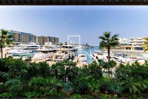 آپارتمان برای فروش در  Jumeirah، Dubai، امارات متحده عربی  4 خوابه ، 882 متر مربع ، شماره 601875 - تصویر 5