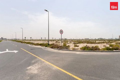 Pozemek v Jebel Ali, Dubai, SAE 930 m² Č.: 565506 - fotografie 7