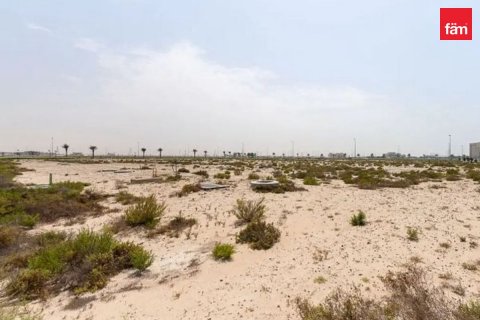 Pozemek v Jebel Ali, Dubai, SAE 930 m² Č.: 565506 - fotografie 6