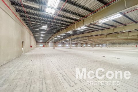 مستودع للإيجار في جبل علي، دبي، الإمارات العربية المتحدة 19999.97 متر مربع ، رقم 587395 - صورة 17