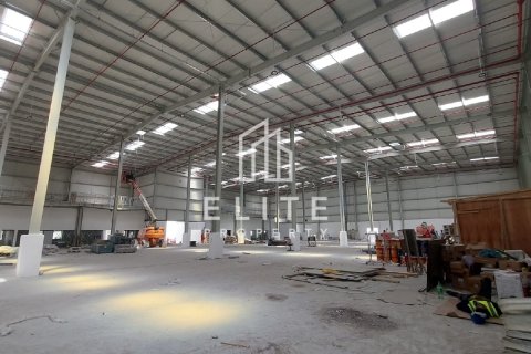 Magazinë në Dubai, Emiratet e Bashkuara Arabe 5331 m2. № 619856 - Foto 15