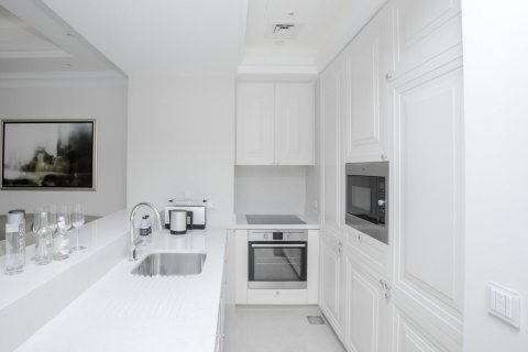 阿联酋 Dubai Downtown Dubai (Downtown Burj Dubai) 待租 : 52 平方米 , 编号705531 - 照片 7