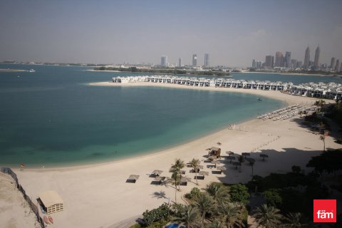 Palm Jumeirah, Dubai, संयुक्त अरब अमीरात में अपार्टमेंट, 4 बेडरूम, 524 वर्ग मीटर, संख्या 722657 - फ़ोटो 2