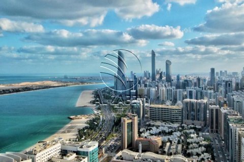 阿联酋 Abu Dhabi 待售 : 1394 平方米 , 编号616103 - 照片 6
