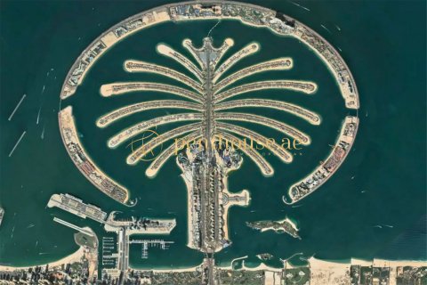 Land in Palm Jebel Ali, Dubai, UAE 2475 sq.m. № 593288 - photo 4