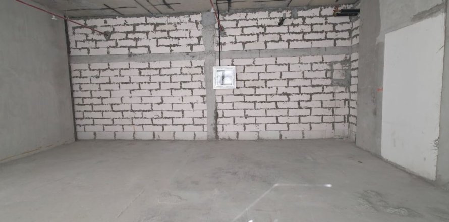阿联酋 Dubai Al Furjan 商铺  53 平方米 , 编号 692979