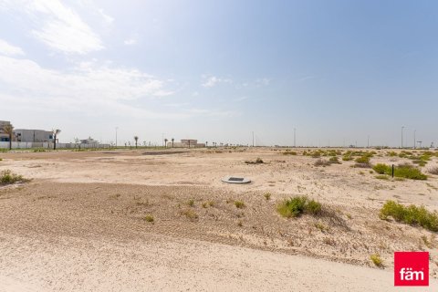 Tanah di Jebel Ali, Dubai, UEA 915 m2 nomor 701408 - foto 12