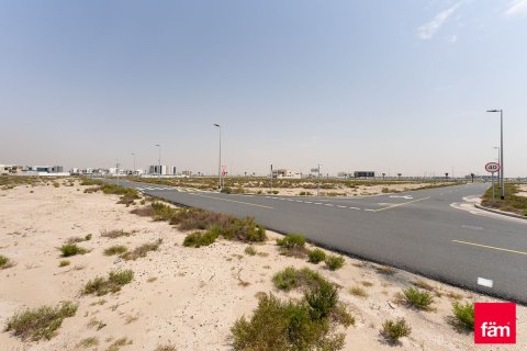 Tanah di Jebel Ali, Dubai, UEA 915 m2 nomor 701408 - foto 3