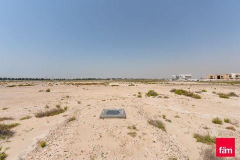 Tanah di Jebel Ali, Dubai, UEA 915 m2 nomor 701408 - foto 9