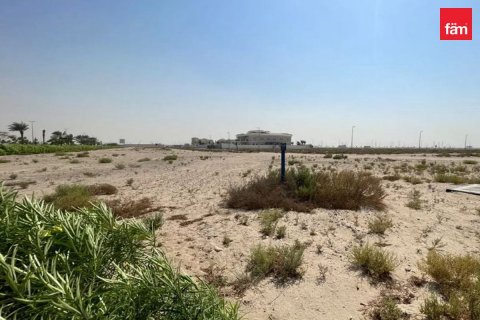 阿联酋 Dubai Jebel Ali 待售 : 870 平方米 , 编号565171 - 照片 4