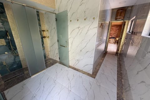 Vila u Jumeirah Park, Dubai, UAE 4 spavaćih soba, 743 m2 Br. 696654 - fotografija 4