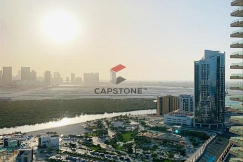 阿联酋 Abu Dhabi Al Reem Island 待售 : 1 卧, 64 平方米 , 编号604459 - 照片 7