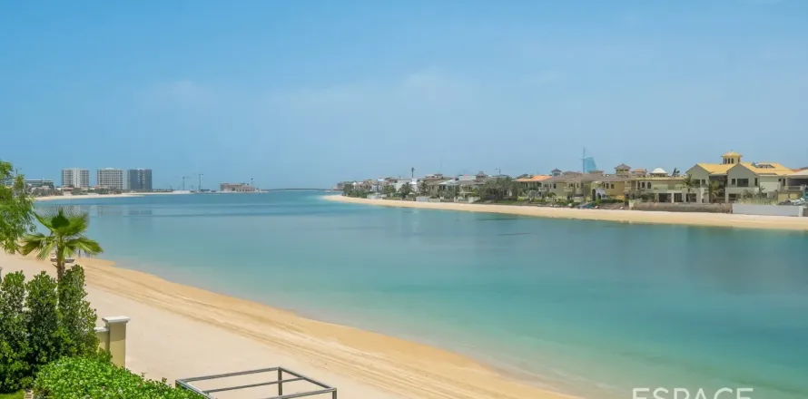 Palm Jumeirah, Dubai, संयुक्त अरब अमीरात में विला, 4 बेडरूम, 465 वर्ग मीटर, संख्या 738058