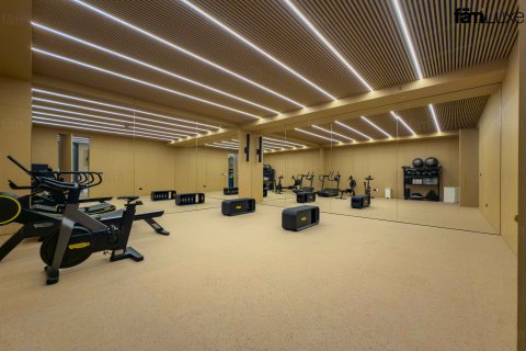 آپارتمان برای فروش در  Dubai، امارات متحده عربی  3 خوابه ، 335.7 متر مربع ، شماره 715093 - تصویر 24