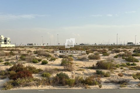 Jebel Ali, Dubai, UAE의 판매용 토지 972제곱미터 번호 592008 - 사진 6