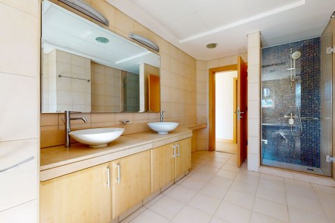 آپارتمان برای اجاره در Palm Jumeirah، Dubai، امارات متحده عربی 3 خوابه ، 206.49 متر مربع ، شماره 749895 - تصویر 11