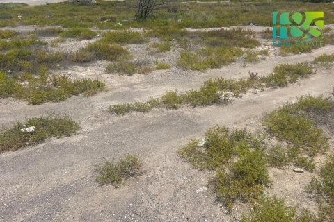 Pozemek v Ras Al Khaimah, SAE 650.4 m² Č.: 551833 - fotografie 3