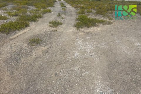 Pozemek v Ras Al Khaimah, SAE 650.4 m² Č.: 551833 - fotografie 5
