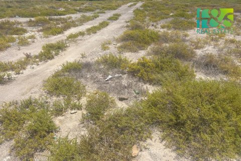 Pozemek v Ras Al Khaimah, SAE 650.4 m² Č.: 551833 - fotografie 2