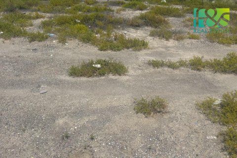 Pozemek v Ras Al Khaimah, SAE 650.4 m² Č.: 551833 - fotografie 4