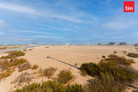 Jebel Ali, Dubai, UAE의 판매용 토지 929.9제곱미터 번호 679144 - 사진 5