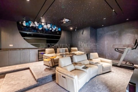 阿联酋 Dubai Jumeirah Park 待售 : 5 卧, 540.79 平方米 , 编号741671 - 照片 25