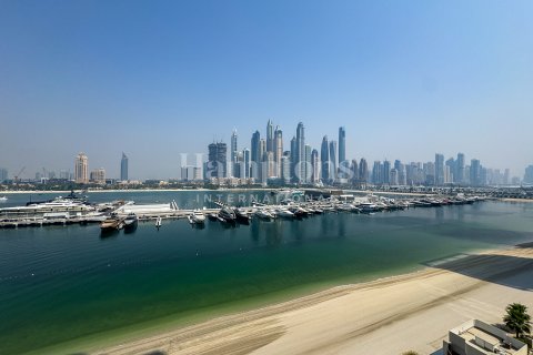 آپارتمان برای اجاره در Dubai Harbour، Dubai، امارات متحده عربی 3 خوابه ، 171.47013807 متر مربع ، شماره 657013 - تصویر 20