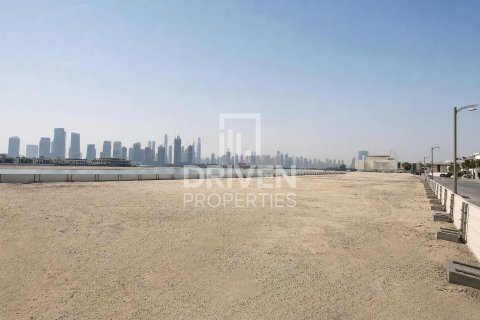 زمین در Palm Jumeirah، Dubai ، امارات متحده عربی 2523.06 متر مربع.  شماره 761713