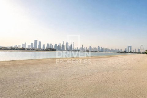 Zemes gabals Palm Jumeirah, Dubaijā, AAE 2523.06 m2 Nr. 761713 - attēls 4