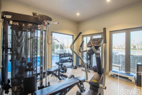 Villa Palm Jumeirah, Dubaijā, AAE 6 istabas, 1254 m2 Nr. 681069 - attēls 23