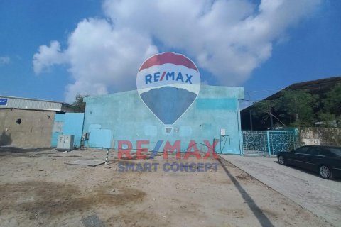 Magazinë në Mussafah, Abu Dhabi, Emiratet e Bashkuara Arabe 1485 m2. № 570244 - Foto 1