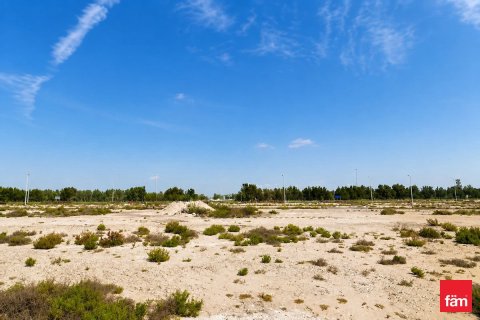 Pozemok v Jebel Ali, Dubai, SAE 914.9 m2 č. 760555 - Fotografia 9