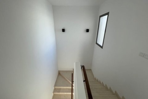 阿联酋 Dubai Town Square 待租 : 3 卧, 204 平方米 , 编号687958 - 照片 11