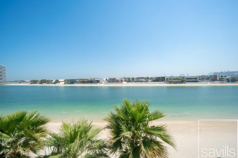 Palm Jumeirah, Dubai, संयुक्त अरब अमीरात में विला, 7 बेडरूम, 2206 वर्ग मीटर, संख्या 646415 - फ़ोटो 19